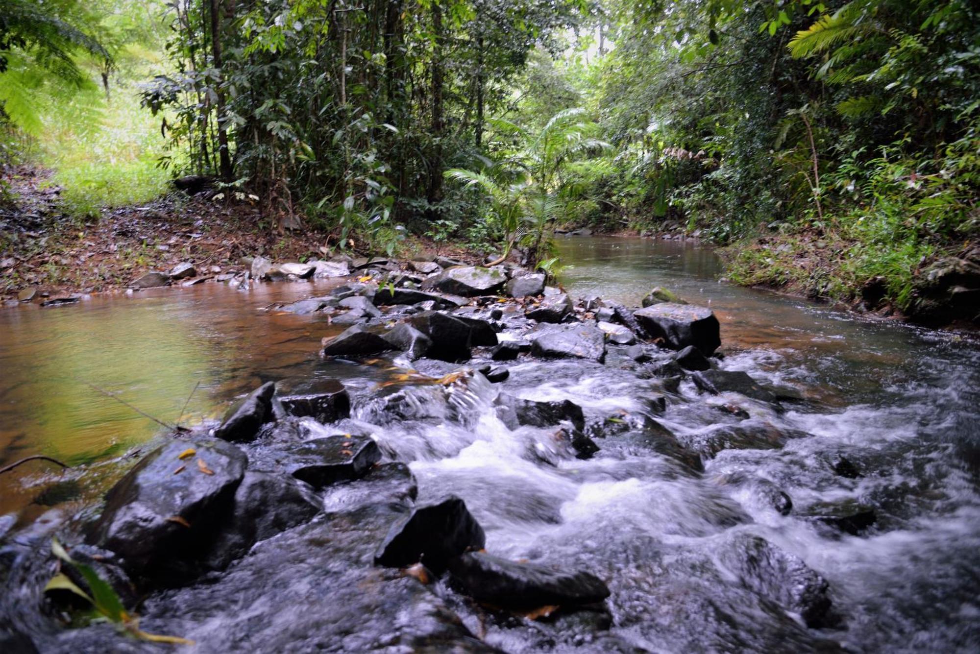 Mena Creek Flower House Bagian luar foto