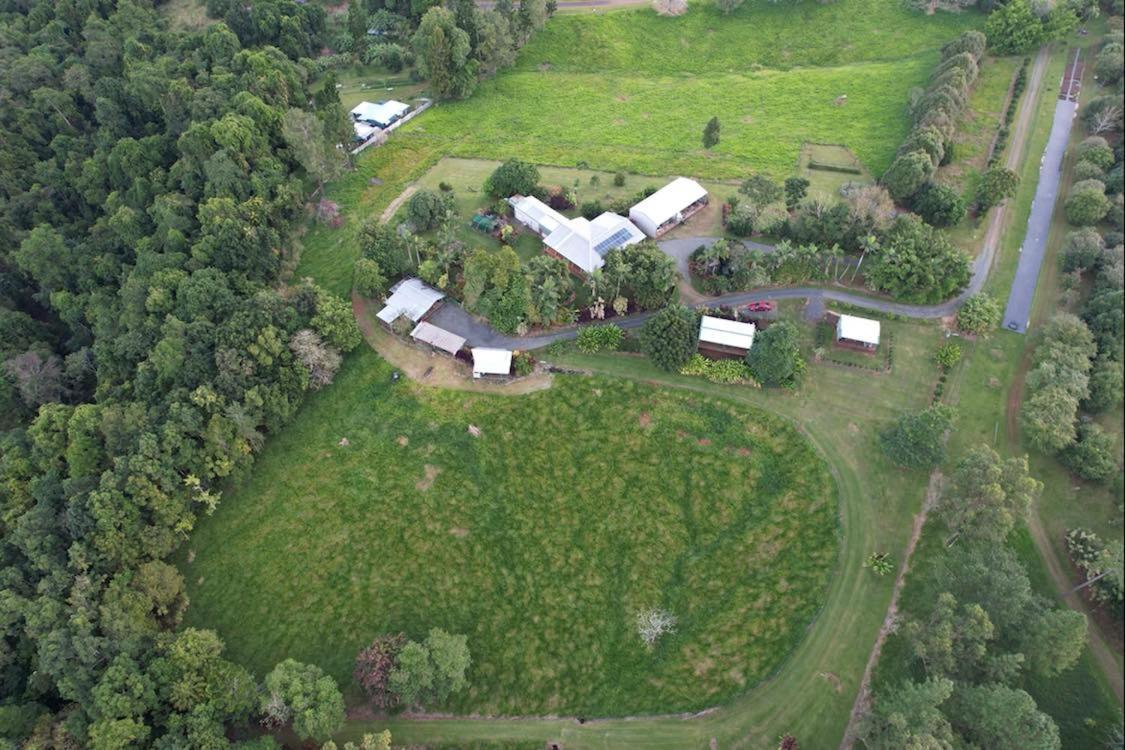 Mena Creek Flower House Bagian luar foto
