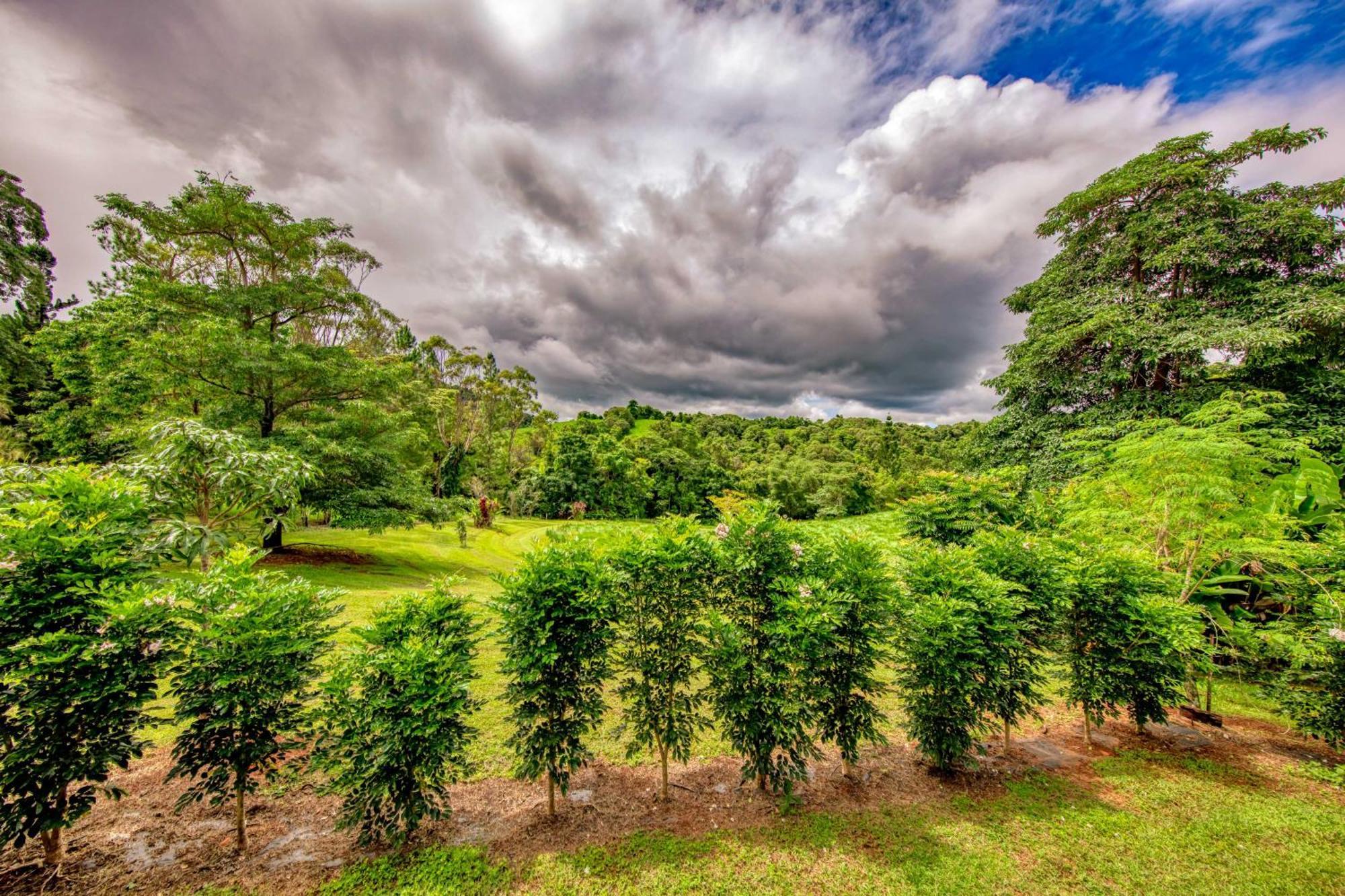 Mena Creek Flower House Bagian luar foto