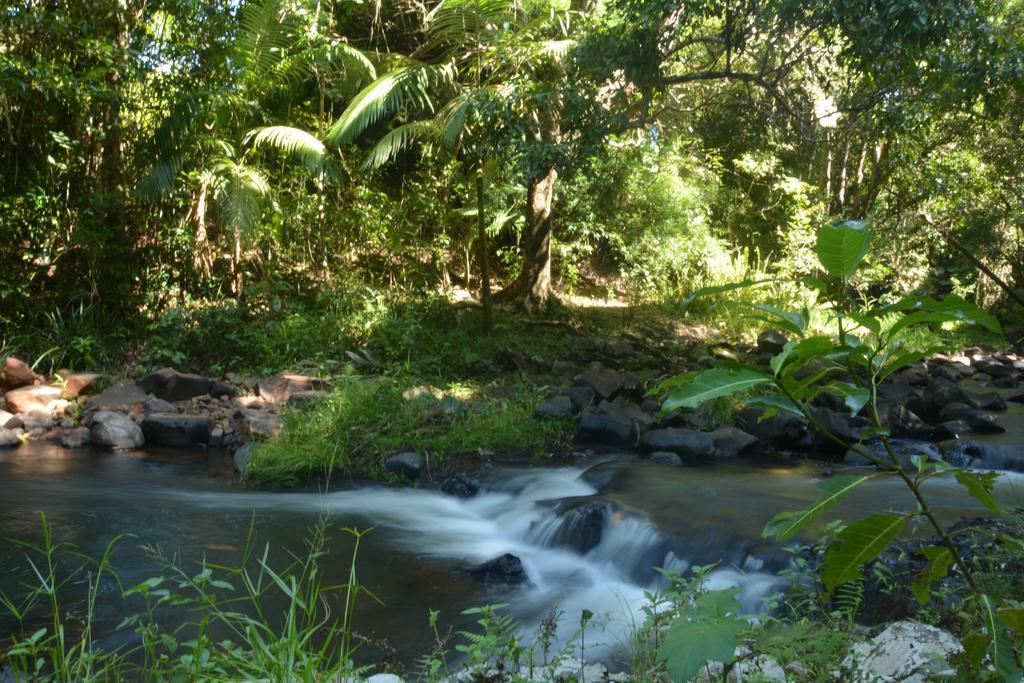 Mena Creek Flower House Bagian luar foto