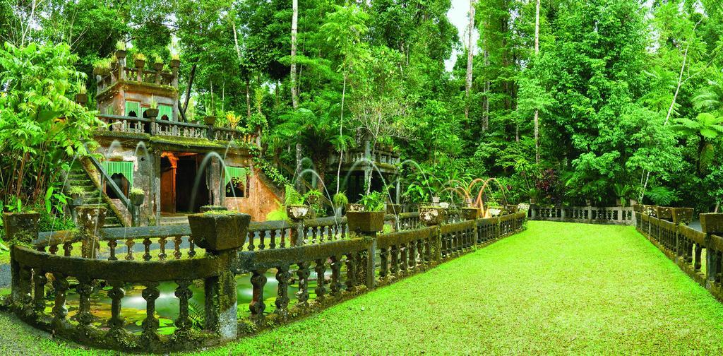 Mena Creek Flower House Bagian luar foto